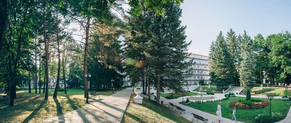 Аллея санатория «Центросоюз-Кисловодск» у Курортного парка
